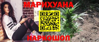 сатива Кулебаки