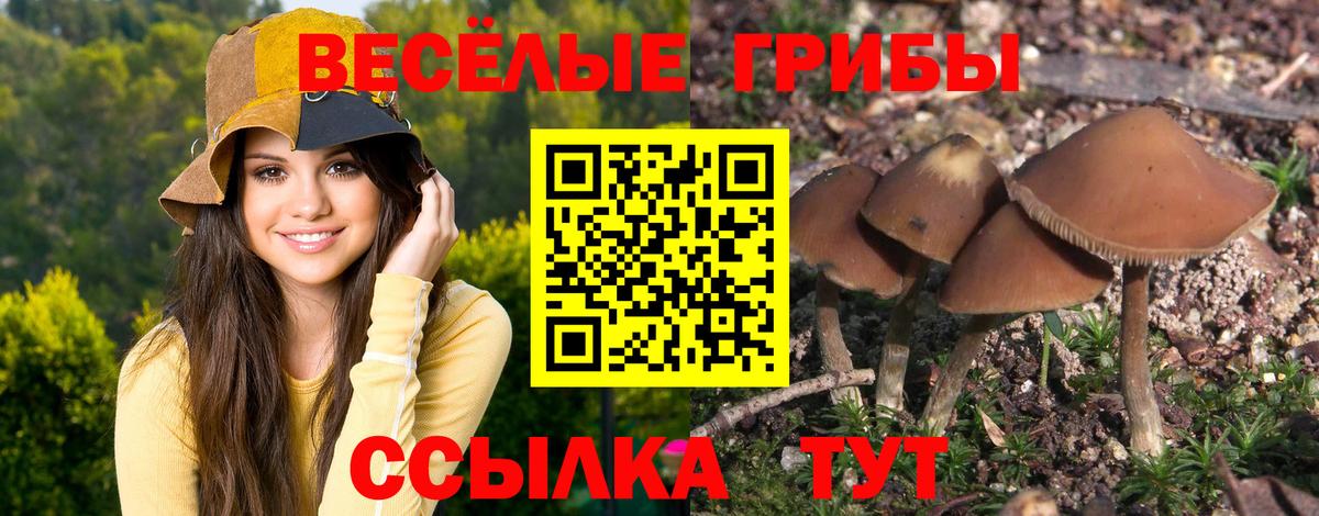 Галлюциногенные грибы MAGIC MUSHROOMS Кольчугино
